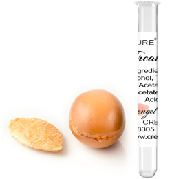 Argan Treatment