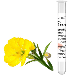 Evening Primrose Treatment