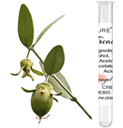 Jojoba Treatment